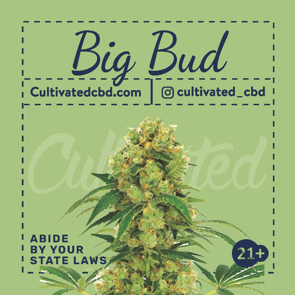 
            
                Load image into Gallery viewer, Cultivated Homegrow 3 Seed Pack | Big Bud
            
        